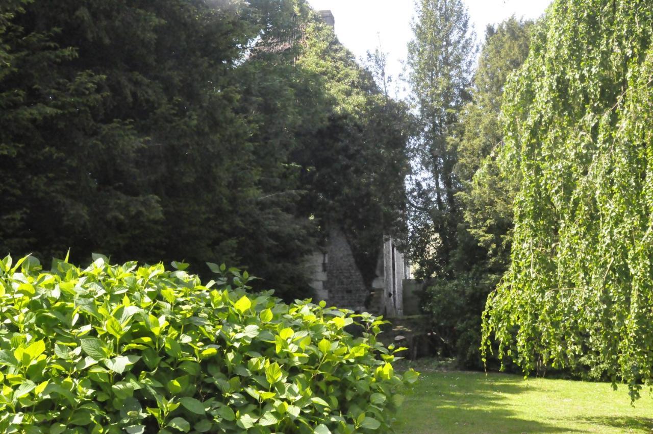 Chateau De St Sauveur D'Émalleville 외부 사진